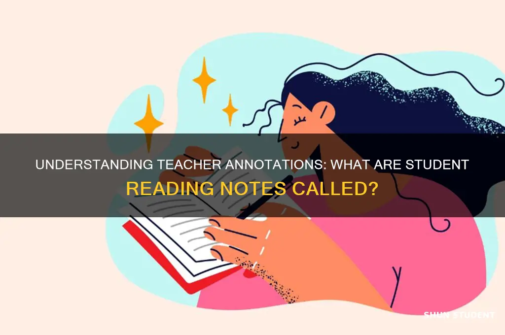 what are teacher notes on student reading called