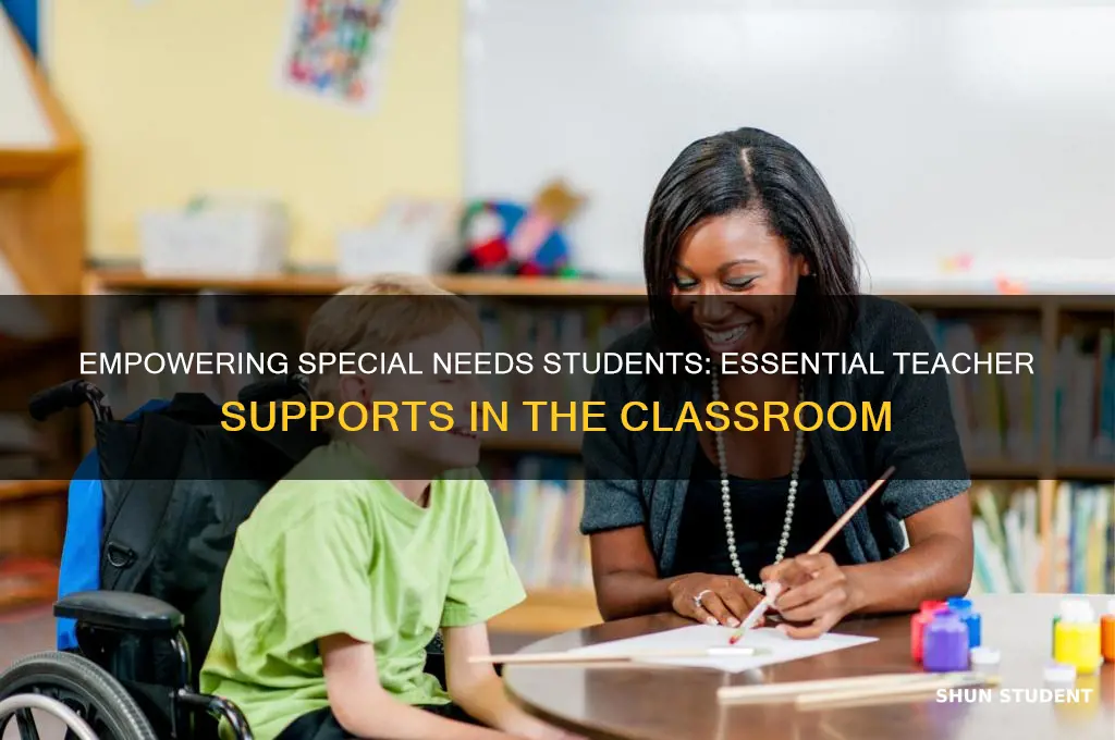what are teacher supports for special needs students in classroom