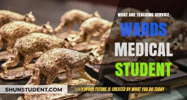 Teaching Service Wards: Medical Students' Role and Learning Experience