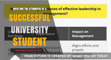 Traits of Successful University Students: Keys to Success