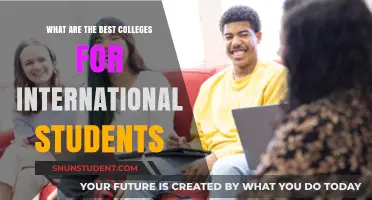 Best Colleges for International Students: Where to Apply