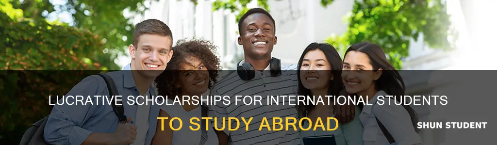 what are the best scholarships for international students