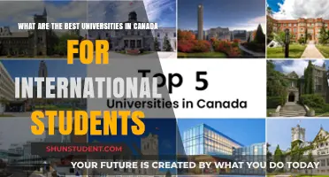 Best Canadian Universities: A Guide for International Students