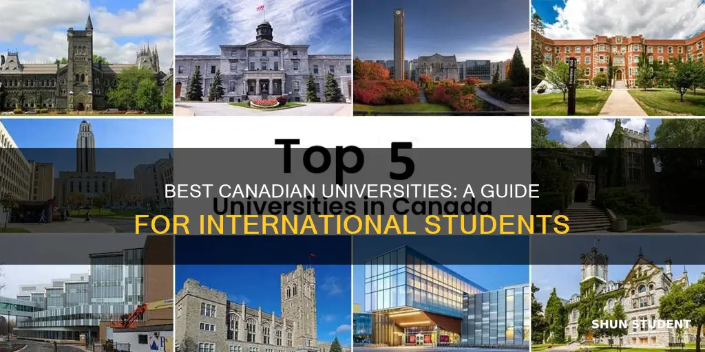 what are the best universities in canada for international students