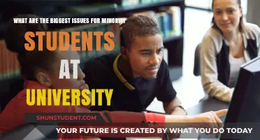 Minority Students: University Challenges and Issues