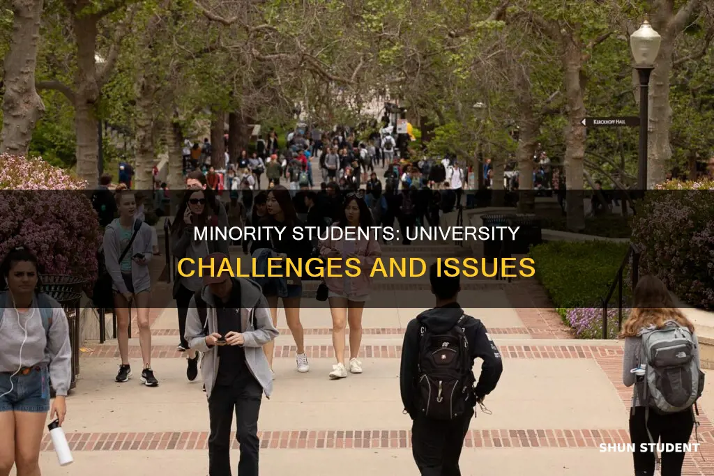 what are the biggest issues for minority students at university