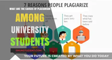 University Students: Plagiarism's Root Causes