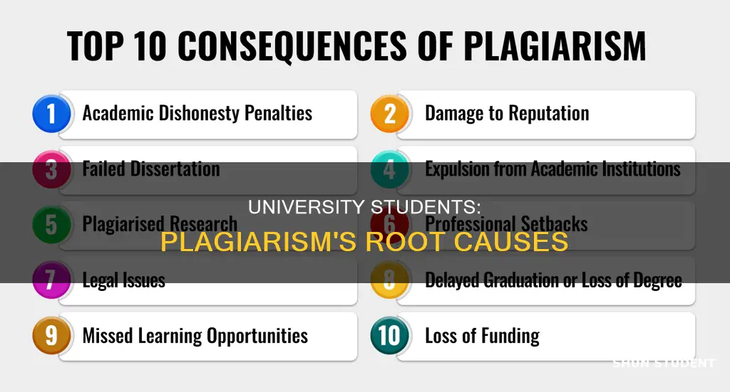 what are the causes of plagiarism among university students