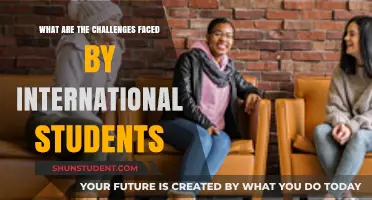 Navigating Challenges: International Students' Academic Journey