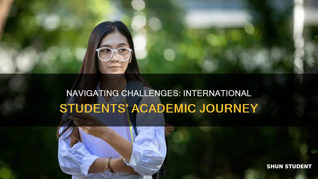 what are the challenges faced by international students