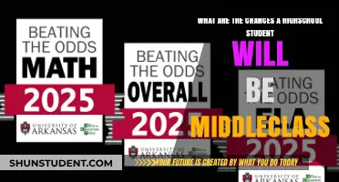 High School to Middle Class: Navigating the Odds for Students