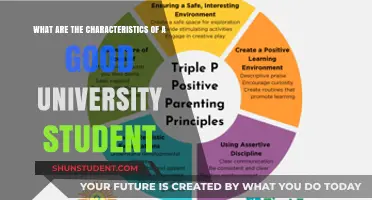 Attributes of Successful University Students