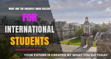 Affordable Irish Colleges for International Students