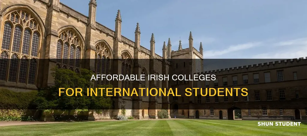 what are the cheapest irish college for international students