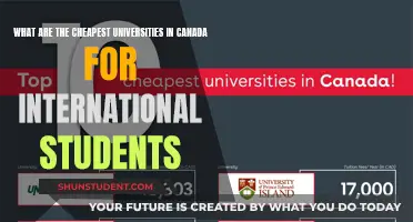 Affordable Canadian Education: Top Cheapest Universities for International Students