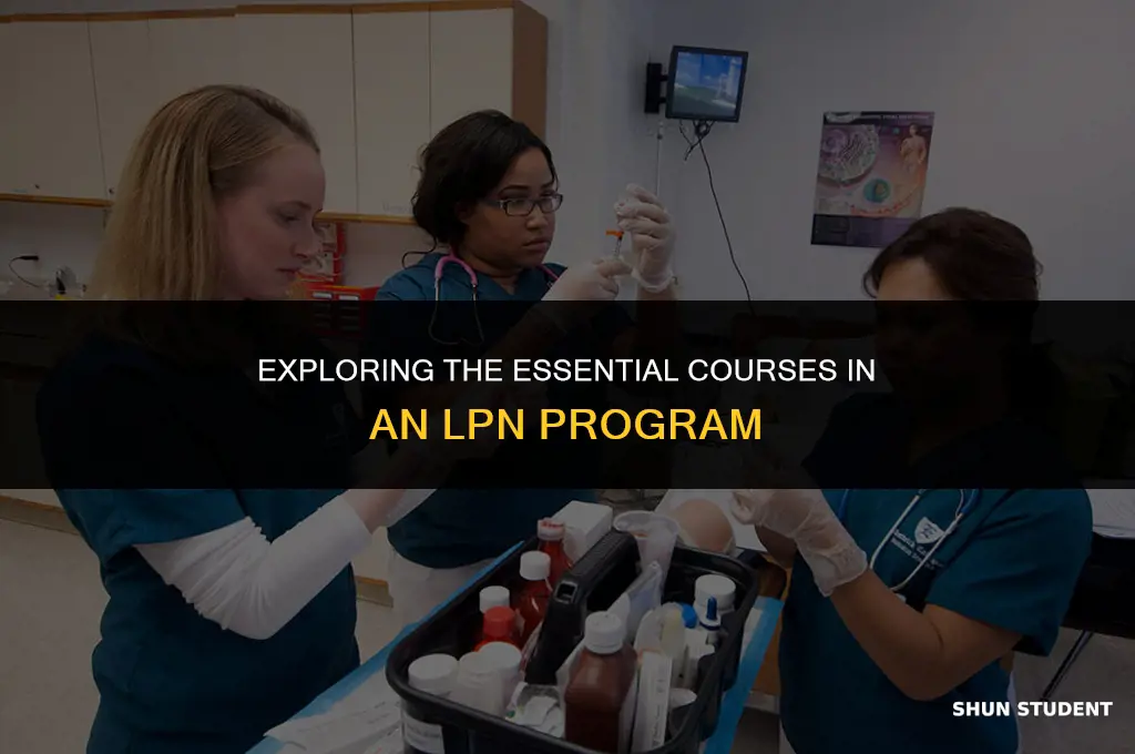 what are the classes lpn students takes