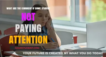 Why Students Don't Pay Attention in Class