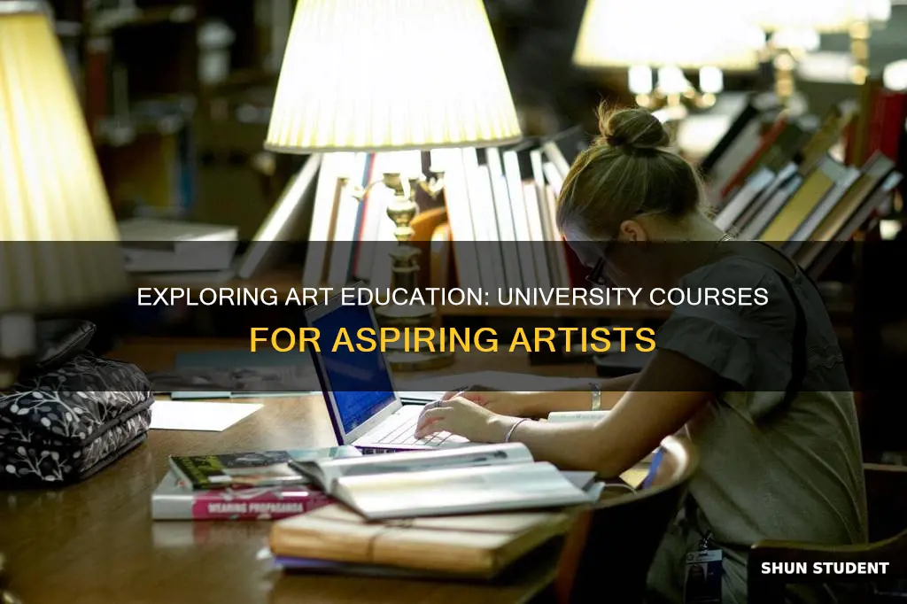 what are the course for art student in university