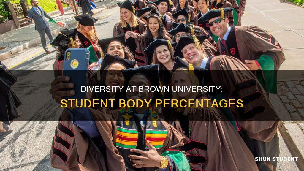 what are the diverstiy percentages of students at brown university