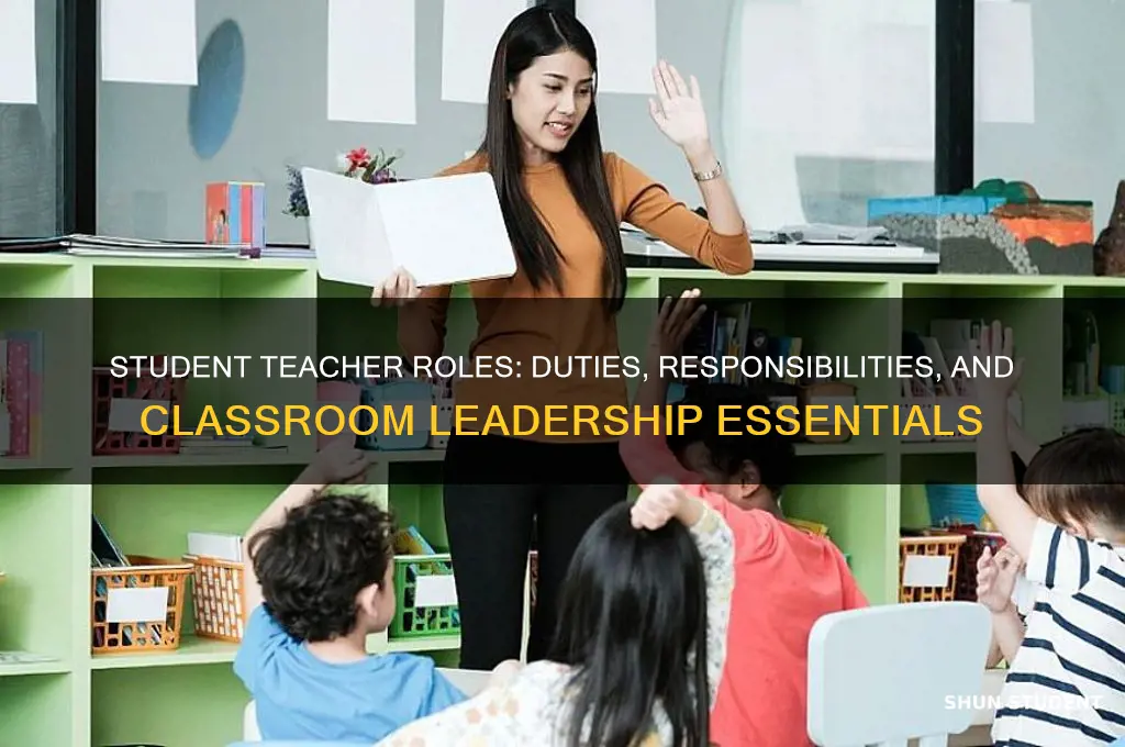 what are the duties and responsibilities of a student teacher