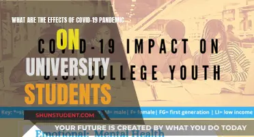 COVID-19's Impact: University Students' Challenges and Adaptations