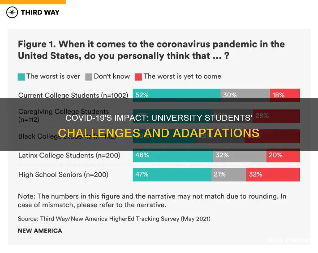 what are the effects of covid-19 pandemic on university students