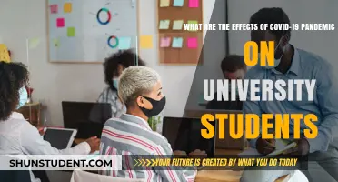 University Students: Surviving the COVID-19 Pandemic
