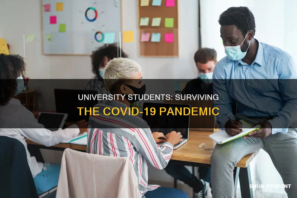 what are the effects of covid-19 pandemic on university students