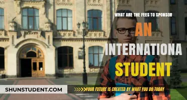 Sponsoring an International Student: What Are the Costs?