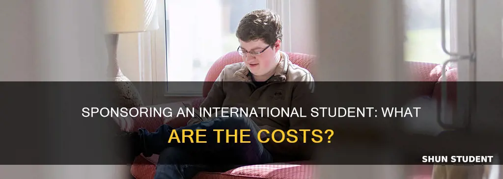 what are the fees to sponsor an international student