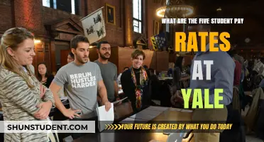 Student Pay Rates: Yale's Five Tiers