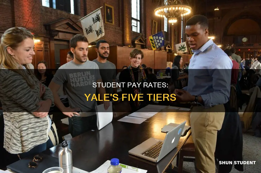 what are the five student pay rates at yale