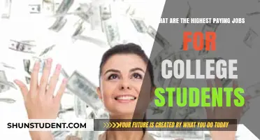 Lucrative Careers: High-Paying Jobs for College Students
