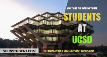 International Students at UCSD: Who Are They?