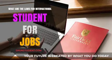 International Student Job Hunting: Understanding Legal Requirements