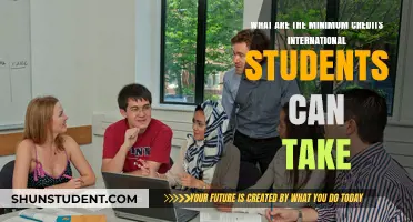 International Students: Minimum Credits and Course Loads