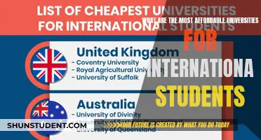 Affordable Education: Top International Student-Friendly Universities and Their Fees