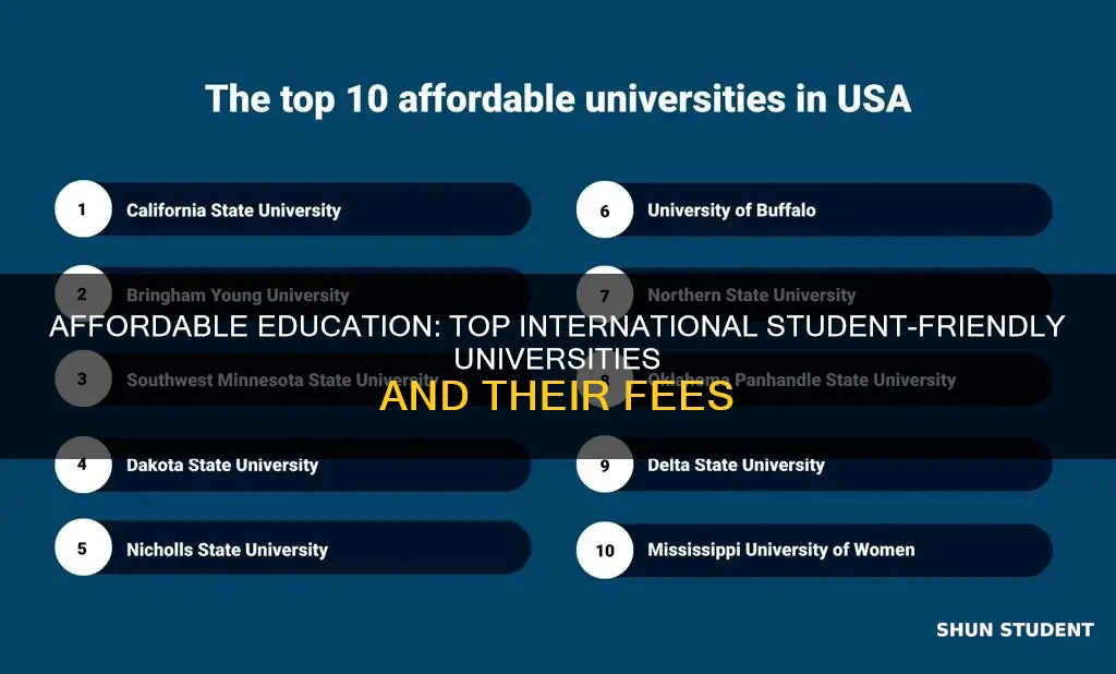 what are the most affordable universities for international students