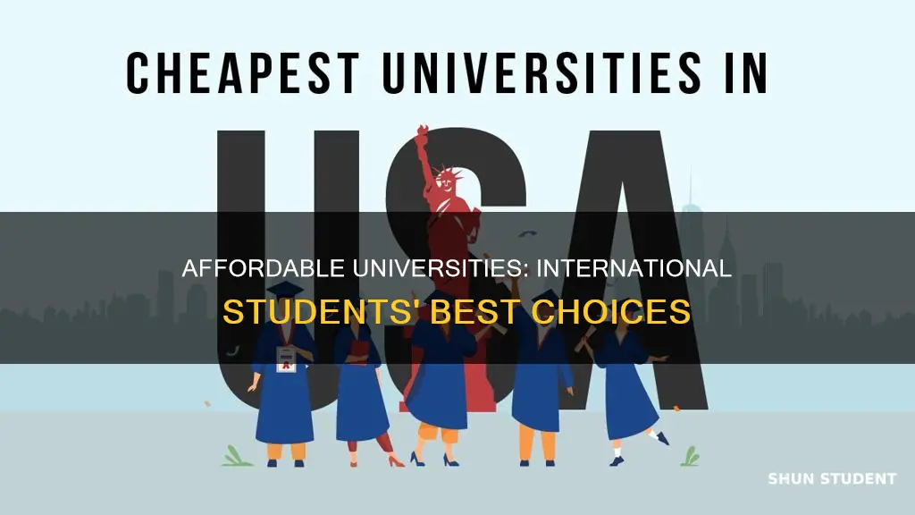 what are the most affordable universities for international students