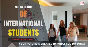 International Students: What Are Their Needs?