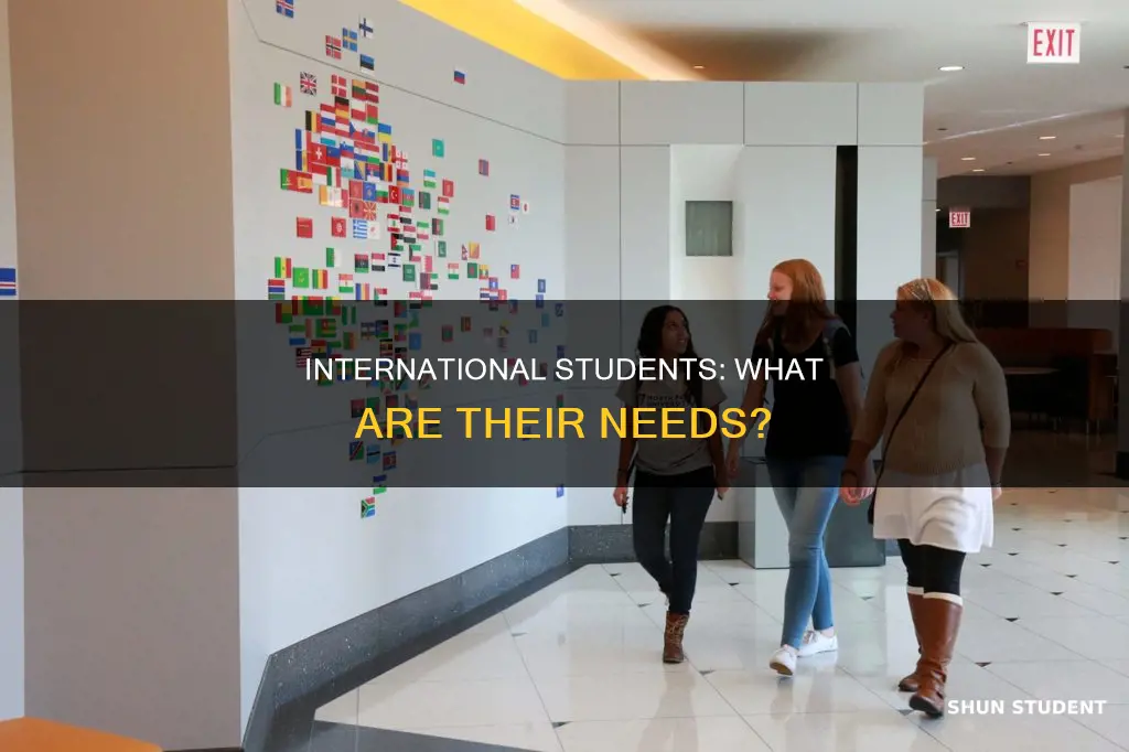what are the needs of international students