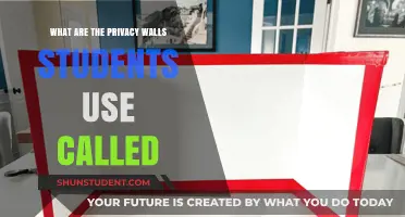 Exploring the Digital Shields: What Are Privacy Walls for Students?