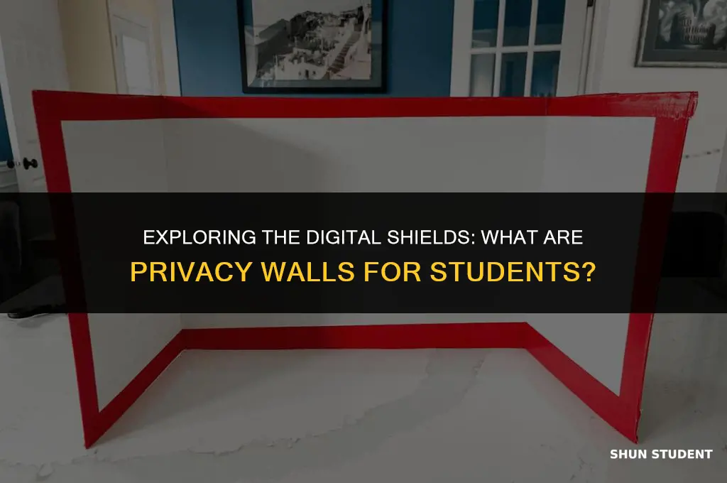 what are the privacy walls students use called