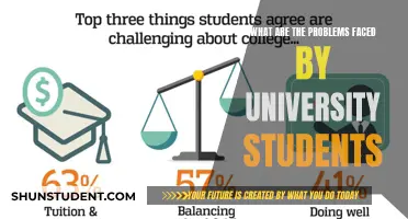 Challenges University Students Face: Navigating Academic Struggles