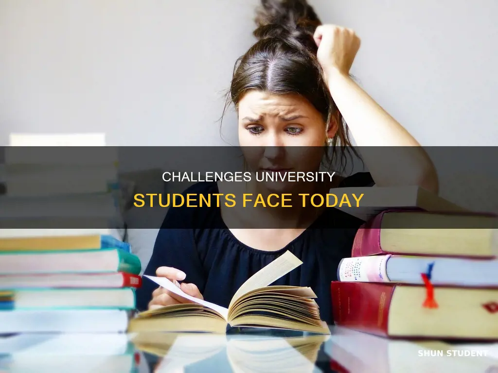 what are the problems faced by university students