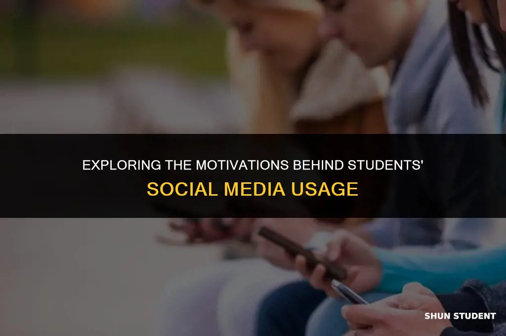 what are the reasons why students use social media