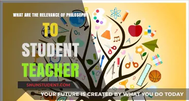 Philosophy's Impact: Shaping Student-Teachers' Critical Thinking and Educational Approach