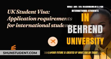 Requirements for International Students at Behrend University