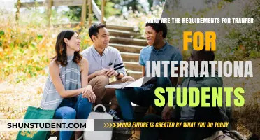 Transfer Requirements: International Students' Guide