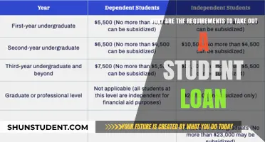 Unlocking Education: A Guide to Student Loan Requirements